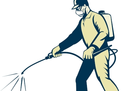 Traitements à venir pour les buis et les platanes