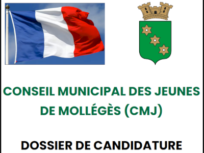 Conseil municipal des jeunes