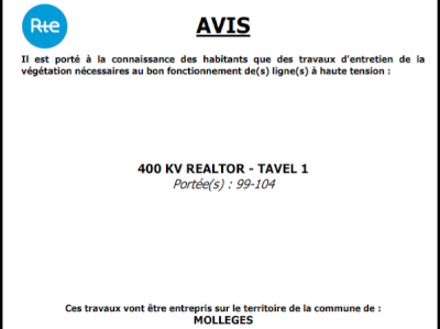 Travaux d’élagage et abattage pour la sécurité de tous