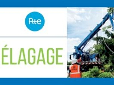 Travaux d’élagage et abattage pour la sécurité de tous