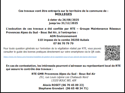 Travaux d’élagage et abattage pour la sécurité de tous