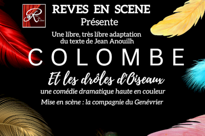 'Colombe et Les Drôles d’Oiseaux'