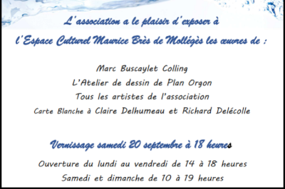 Une biennale sous le signe de l'eau