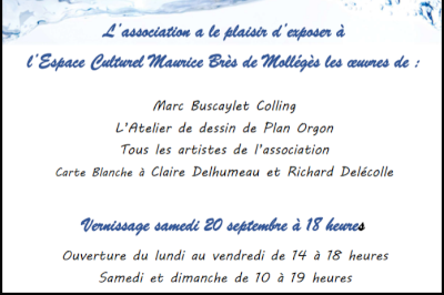 Une biennale sous le signe de l'eau