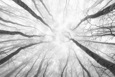 Coup de projecteur sur... Lenny Vidal