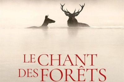 Le cinéma de retour ! 